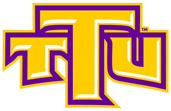 Tennessee Tech Golden Eagles 2006-Pres Alternate Logo 02 iron on paper